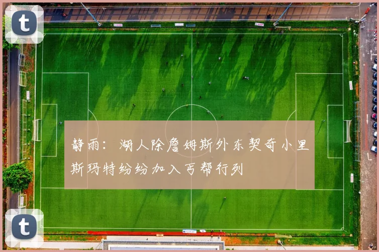 静雨：湖人除詹姆斯外东契奇小里斯玛特纷纷加入丐帮行列