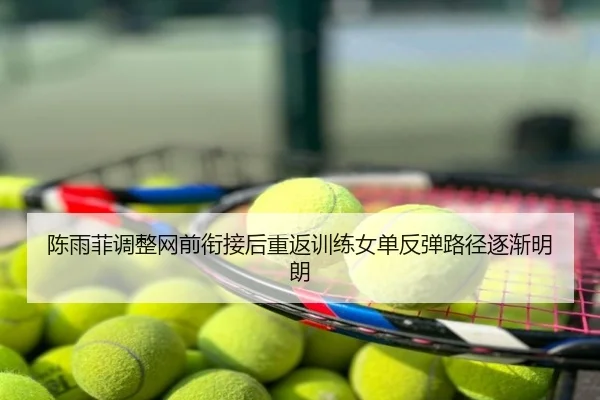 陈雨菲调整网前衔接后重返训练女单反弹路径逐渐明朗